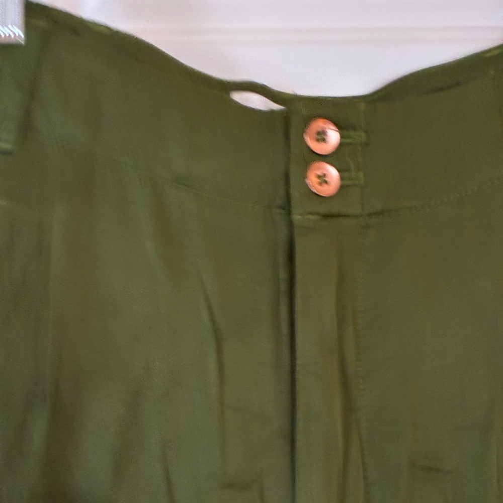Anthropologie Diandra Pleated Joggers Green Pants Sz. 10Tall - Picture 14 of 16